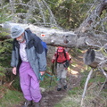 2008.04.27.bonh.schl.0004