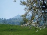 2008.05.10-11.rigi.0008