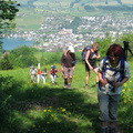 2008.05.10-11.rigi.0010