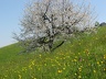 2008.05.10-11.rigi.0011