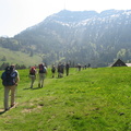 2008.05.10-11.rigi.0015