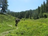 2008.07.05-12.Valtournenche