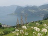 2009.05.23-24.Autour du Pilatus