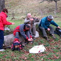 2009.11.15.freland.0046