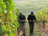 2009.10.11.vignoble.0007