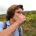 2009.10.11.vignoble.0010