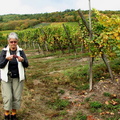 2009.10.11.vignoble.0012