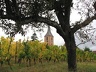 2009.10.11.vignoble.0015