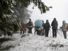 2011.02.20.belchen.0029