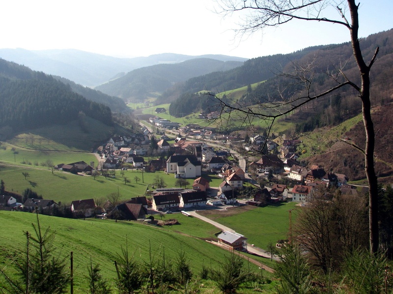 2011.03.20.farrenkopf.0008.JPG