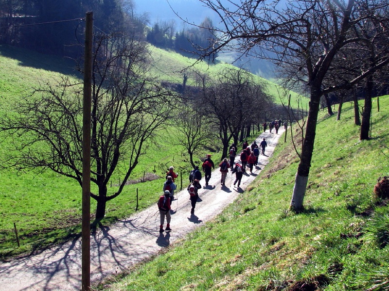 2011.03.20.farrenkopf.0015.JPG