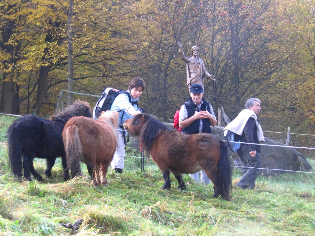 2011.11.06.wintersberg.0013