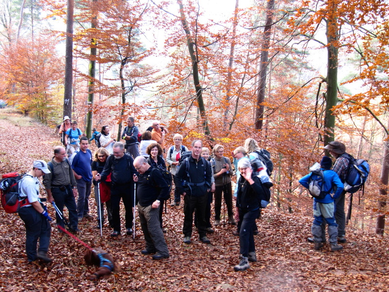 2011.11.06.wintersberg.0015.jpg