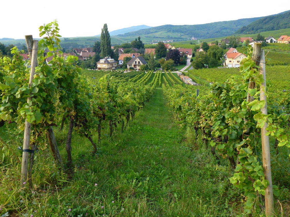 2011.09.11.mittelberg.0004