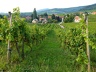 2011.09.11.mittelberg.0004