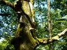 2011.06.26.vogelsteine.0024