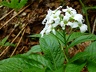 2012.05.27.chasseral1.0007