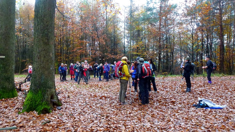2014.11.16.rothbach.0007 - 2014.11.16.rothbach.0007.jpg 2014.11.16.rothbach.0007.jpg