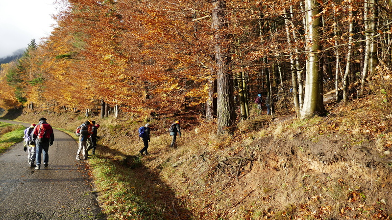 2017.11.19.schneeberg.0004.jpg