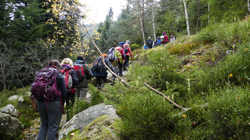 2017.11.19.schneeberg.0013.jpg