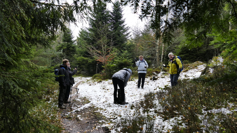 2017.11.19.schneeberg.0015