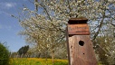 2018.04.15.Oberkircher Brennersteig