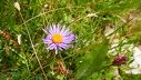 2018.07.07-14.ALTA BADIA