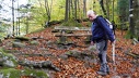 2018.10.25.Entre Vosges du Nord et Palatinat