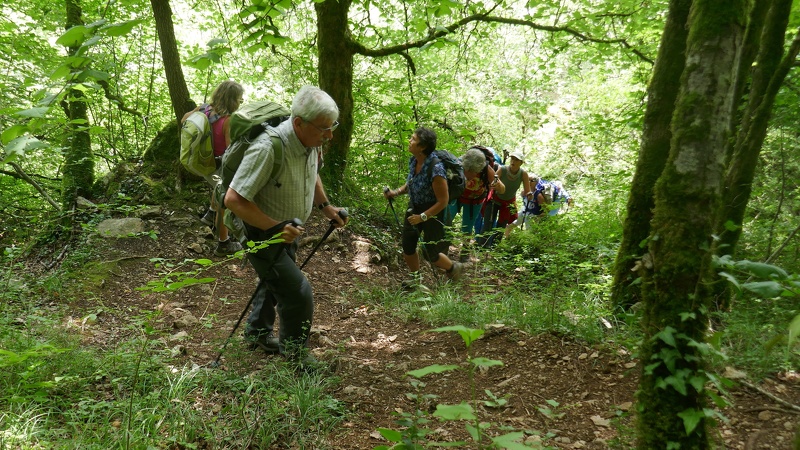 2019.06.22.baumeslesmessieurs.0006.jpg