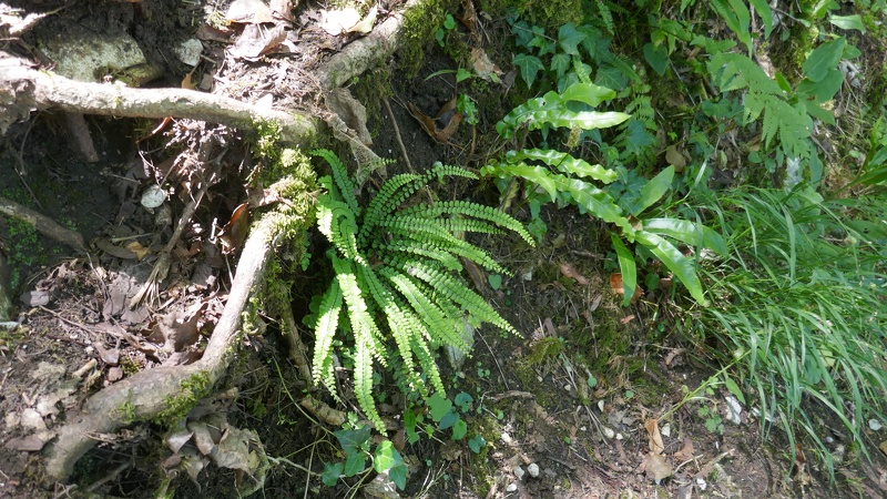 2019.06.23.poligny.0023.jpg