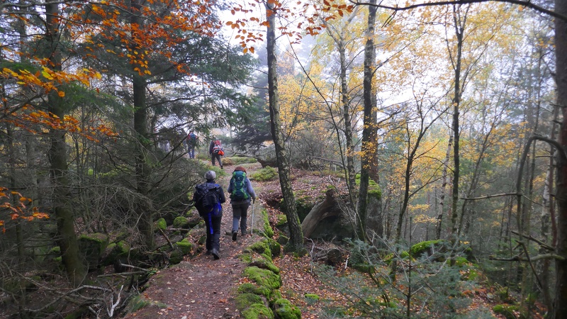 2019.11.17.oberhaslach.0009.jpg