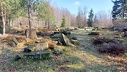 2024.03.07.st.quirin.0008