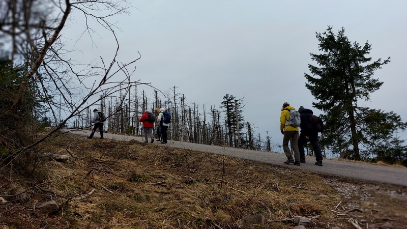 2024.03.10.hornisgrinde.0020