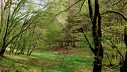 2024.04.11.altschlossfelsen.0007
