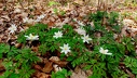 2024.04.11.altschlossfelsen.0012