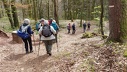2024.04.11.altschlossfelsen.0015