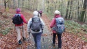 2024.11.07.stjeansaverne.0027