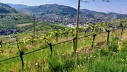 2025.05.01.kappelrodeck.0003