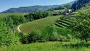 2025.05.01.kappelrodeck.0010