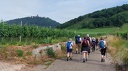 2025.06.01.st.hippolyte.0005