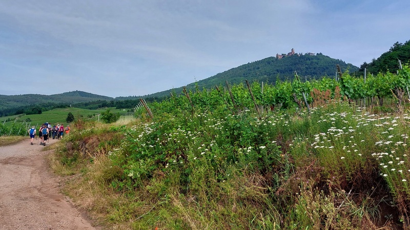 2025.06.01.st.hippolyte.0007