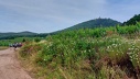 2025.06.01.st.hippolyte.0007