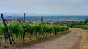 2025.06.01.st.hippolyte.0008