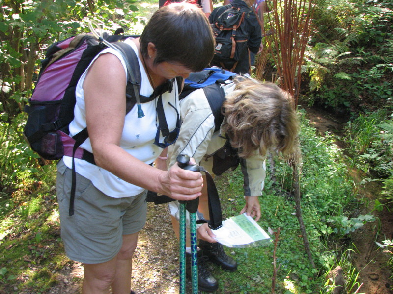 2009.08.23.allerheiligen.0003.JPG