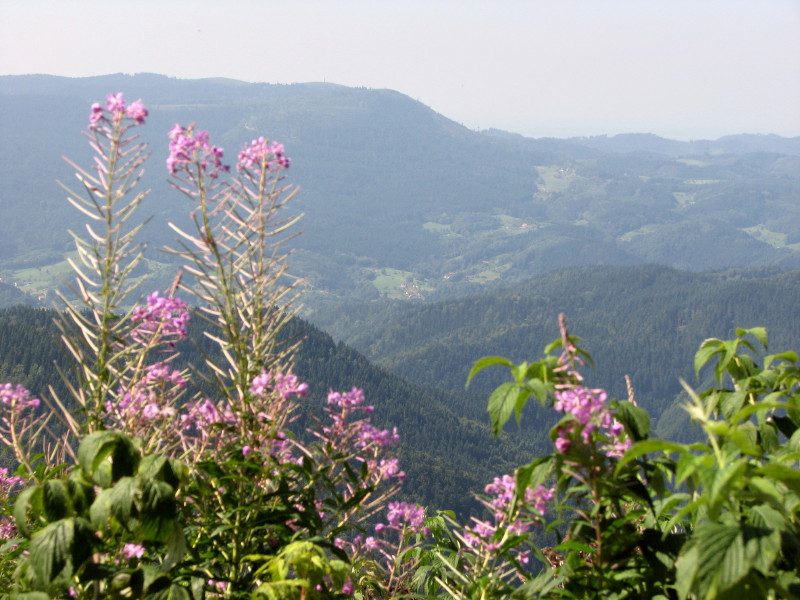 2009.08.23.allerheiligen.0015.JPG