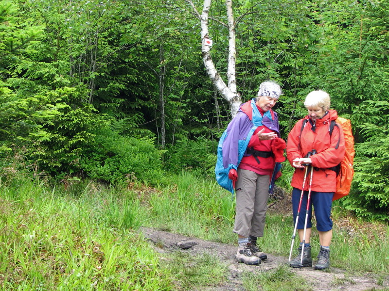 2009.06.07.glaswaldsee.0011.JPG