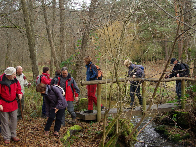 2009.11.29.obersteinbach.0004.JPG