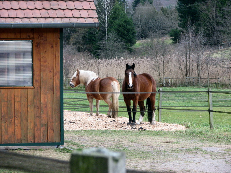 2009.11.29.obersteinbach.0006.JPG