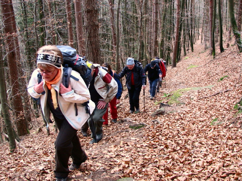 2009.11.29.obersteinbach.0008.JPG