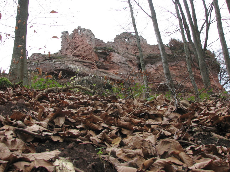 2009.11.29.obersteinbach.0011.JPG